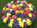 Keukenhof